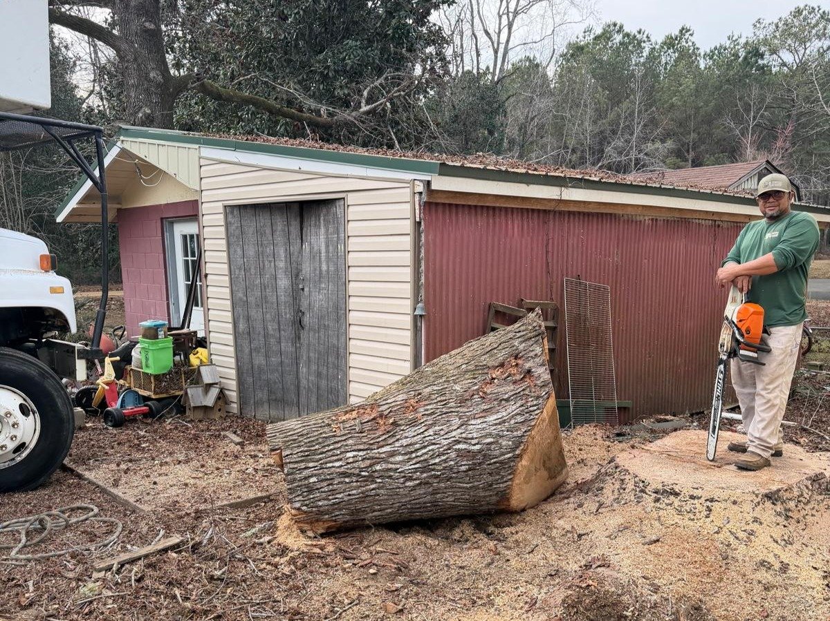 El Costeño Tree Service LLC